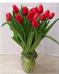 2018 stevie silver winner · deliver to 190+ countries Flower Tulips Pics Tulips Flower