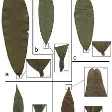 Image result for Uvariastrum germainii