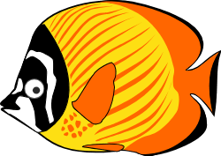 Download Weekly Swim Information Waikiki Swim Club
