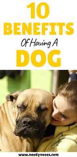 10 Benefits Of Having A Dog In 2020 Therapy Dogs Puppy Time Dog Quotes
