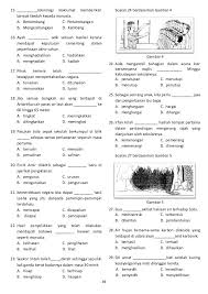 Bank Tatabahasa Upsr 1 In 2020 Malay Language Language Worksheets