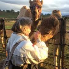 Address, phone number, oasis camel dairy reviews: Camel Dairy Open Farm Tours And Shows Share The Love Valentine S Weekend East County Magazine