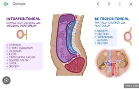 Image result for Genitourinary Trauma