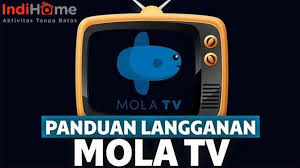 Pilihan channel lengkap luar dan lokal sekitar 400channel. 20 Cara Berlangganan Mola Tv Di Indihome Harga Paket Cara Instal