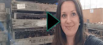 uitjebloembol 'van koeien naar 70 soorten tulpen'