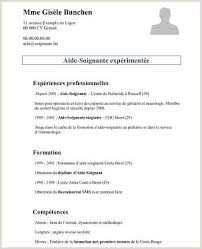 Exemple de projet professionnel infirmier. Exemple De Cv Campus France Resume Template Free Downloadable Resume Template Free Resume Template