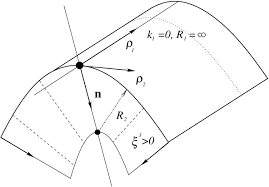Parabolic Point Structure Of The Surface And Projection