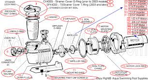 Hayward Pool Pump Replacement Parts Hayward Pool Swimming Pool Maintenance Pool Pump