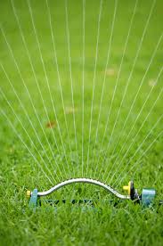 Waiting until the heat of the day (between 10 am and 6 pm) will cause much of the water to evaporate. How To Water Your Lawn Wisely