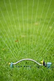 So 20 minutes, 3 times per week will get an inch of water on your lawn, and 30 minutes 3 times per week will get 1 ½ down. How To Water Your Lawn Wisely