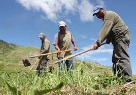 Foreign Farm Workers Still Allowed Entry The Western Producer