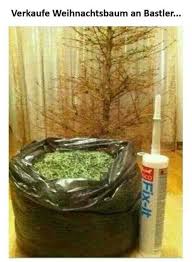 Gutes Gelingen Lustige Bilder Polnisch Lernen Witzige Bilder