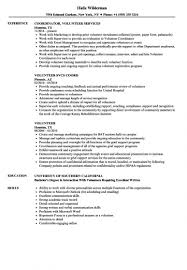 Financial services it audit consultant resume examples & samples. Browse Our Image Of Volunteer Job Description Template Job Resume Examples Resume Examples Job Description Template