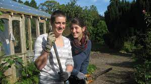 Volunteer trees, overgrown trees, and diseased trees can be hazards for the safety of others. Volunteer For Reforestation Top Projects 2021 Volunteer World