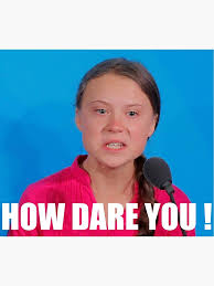 Sep 23, 2019 · read greta thunberg's full speech at the united nations climate action summit on monday. Greta Thunberg How Dare You Greeting Card By Tcam Redbubble