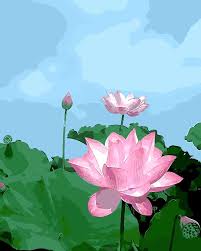 Scopri ricette, idee per la casa, consigli di stile e altre idee da provare. Bunga Teratai Warna Warni Alami Minyak Lukisan Gambar Dengan Nomor Digital Gambar Bunga Rose Mewarnai Unik Hadiah Dekorasi Rumah Painting Picture Oil Paintingflower Oil Painting Aliexpress