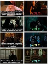 Pongo precio a mi cabeza. Harry Potter Memes Tres Wattpad
