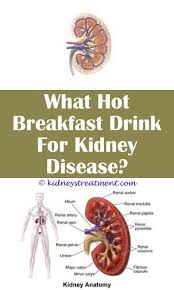 Kidney Stones Look Like Kidney Disease Kidney Disease Diet Polycystic Kidney Disease