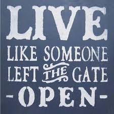 12 X 12 Live Like Someone Left The Gate Open Saras Signs