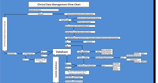 Clinical Data Mangement Knowledge Hub Clinical Data