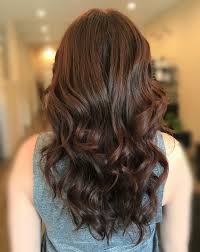 Warm Chestnut Brown Hair Chestnut Brown Hair Hair Color Chocolate Beautiful Hair