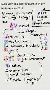 Image Result For Calcium And Magnesium Relationship Nursing Nursing School Nursing School Survival Paramedic School