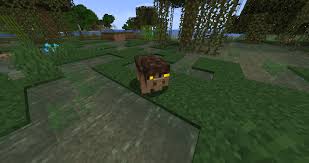 Zero tick no longer works. Minecraft Mystical Wildlife Mod 2021 Download