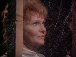 Night Gallery" Something in the Woodwork (TV Episode 1973)