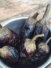 Put a cover on the pot, and blanch the eggplant for about four minutes. How To Preserve Eggplant For Winter Eating Homestead Honey