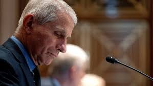 Anthony fauci's deputy was required to sign a confidentiality agreement tailored to china's terms. 8rl 0ssmrm8cqm