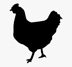 Download Chicken Cock Animal Farm Symbol Meat Icon Design Free Chicken Svg Files Hd Png Download Kindpng