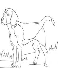 Ausmalbild Beagle In 2020 Ausmalbilder Hunde Malvorlagen Pferde Ausmalen