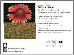 We did not find results for: Pollinator Plant Profile Indian Blanket Kerr Center