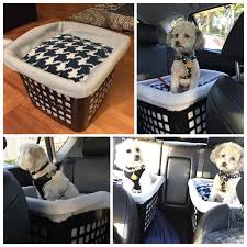 Interior Car Cleaning Hacks Diy Dog Stuff Diy Dog Bed Dog Car Seats