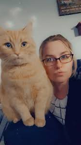 My little orange furballs okay maybe not so little 😂