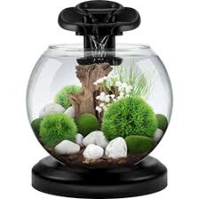 Sunsun Dahili Filtre Ve Led Isik Ile Ekoloji Mini Tank Akvaryum Buyuk Boy Ya 02 Beyaz Akvaryum Cesitleri Sunsun