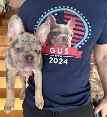 Greg Gutfeld - Greg Gutfeld added a new photo.