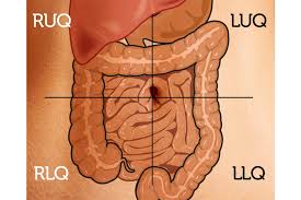 assessment of bowel sounds ausmed