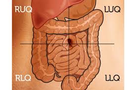 Assessment Of Bowel Sounds Ausmed