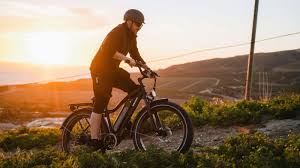 Maximizing Your Fat Tire E-Bike's Longevity and Performance | Himiway
