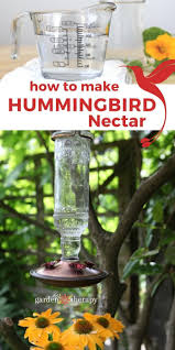 How to make hummingbird food. Attract Nature S Smallest Flyer With This Hummingbird Food Recipe Garden Therapy