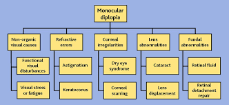 Image result for Diplopia