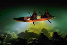 You'll see dolphins, manatees, rays, horseshoe crab, and a variety of shore birds. St Pete Beach Led Illuminated Night Tours On Glass Bottom Kayak Marriott