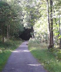 Find your nearby deutsche bank : Stuttgart Degerloch Burgerportal Fur Degerlocher