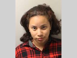 LCSO Daily Booking Report