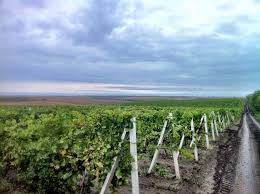 Pin On Moldovan Wine