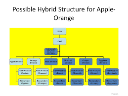 organizational design ppt video online download