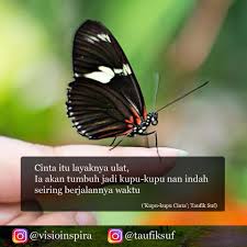 Kata Kata Kupu Kupu Sebelum Menjadi Indah