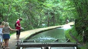 There are over 40 caves located throughout the park, the geology of which is a mixture of limestone and dolomite. Meramec Springs Trout Hatchery 8 17 10 Youtube