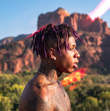 Though he has not disclosed his exact earnings, he surely grasped a good amount from record producing and rapping. Nle Choppa Age